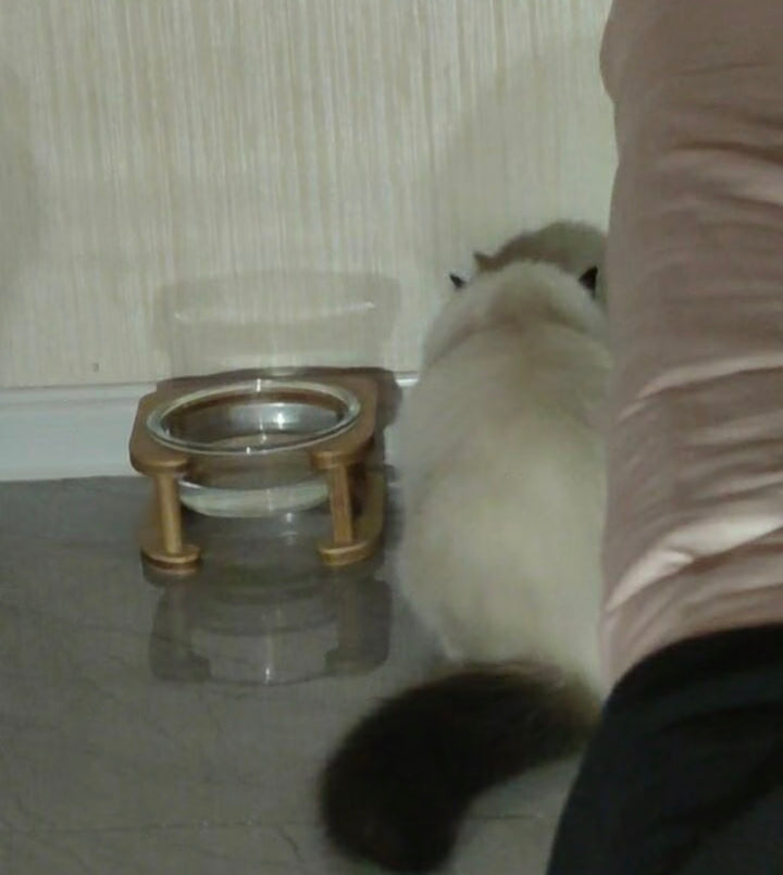 竹製スタンド付 高脚ガラス猫食器