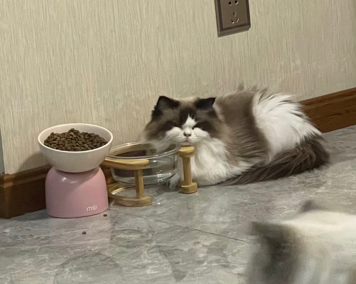 竹製スタンド付 高脚ガラス猫食器