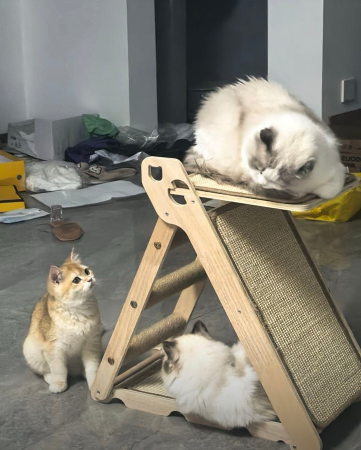 木製キャットタワー 爪とぎ一体型