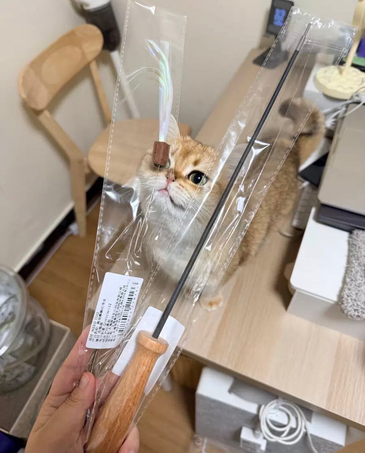 伸縮式猫じゃらし 交換ヘッド式 天然木ハンドル
