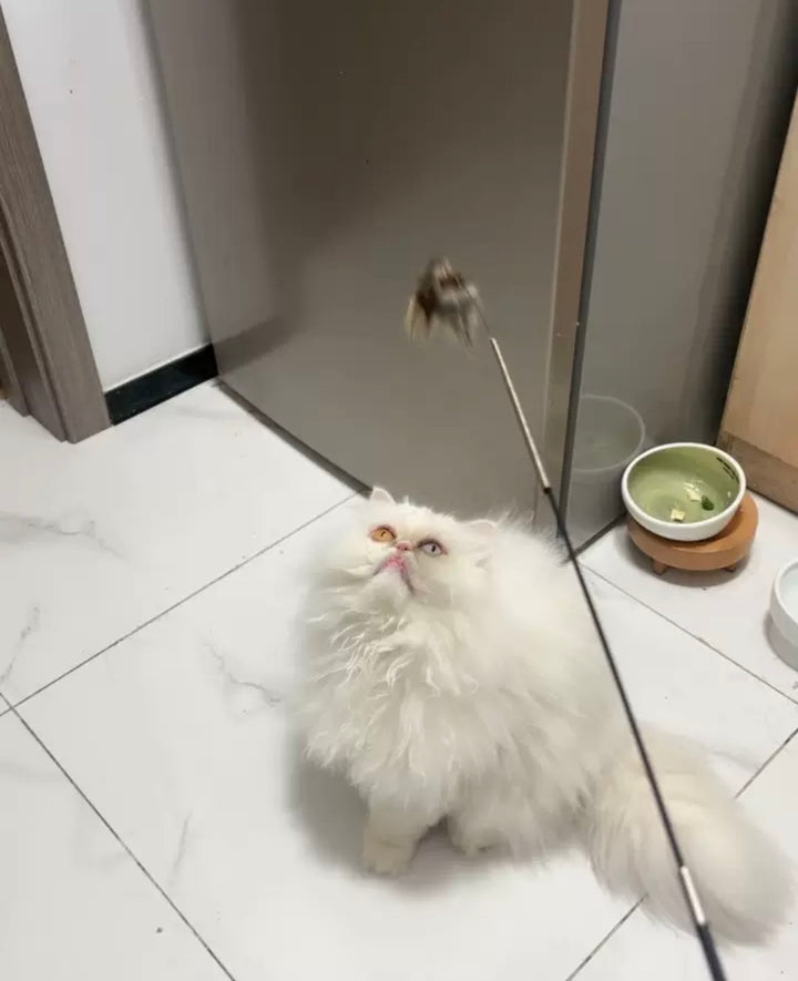 伸縮式猫じゃらし 交換ヘッド式 天然木ハンドル