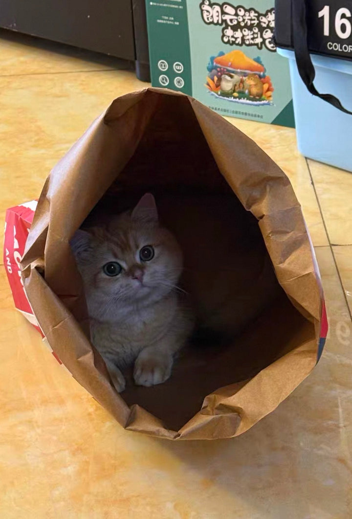 クラフト紙製 ねこかくれんぼ袋