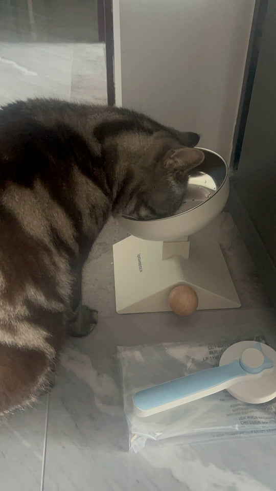高さ・角度調整 猫用食器台