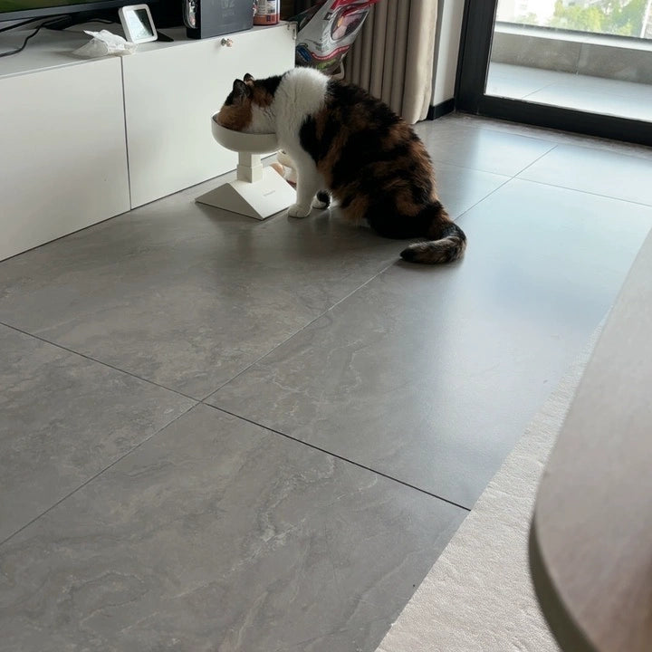 高さ・角度調整 猫用食器台