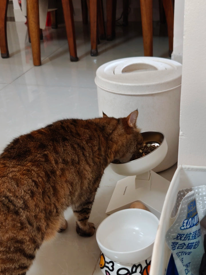 高さ・角度調整 猫用食器台