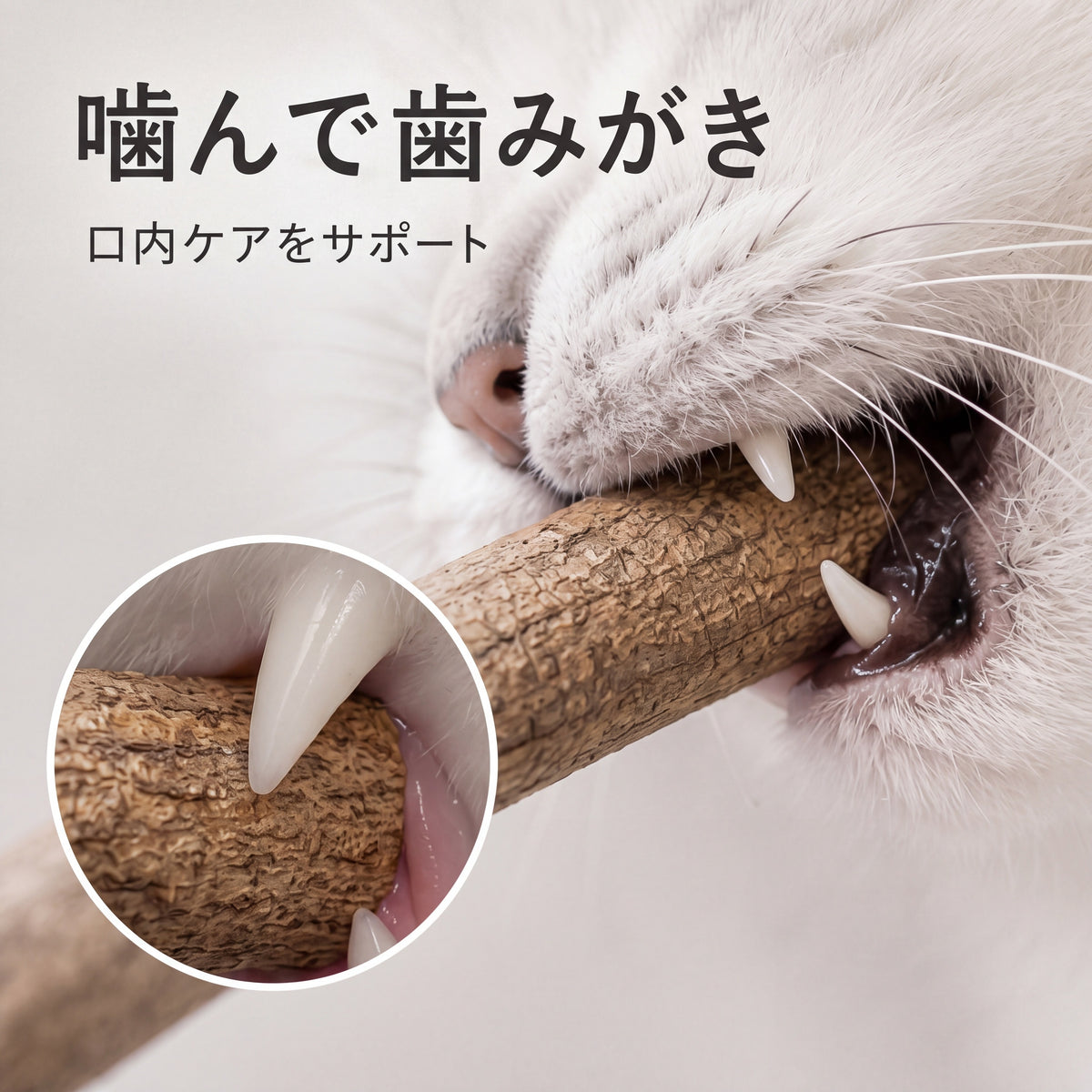 天然またたびスティック 猫用 48cm超ロング