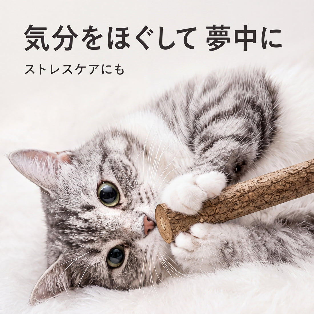 天然またたびスティック 猫用 48cm超ロング