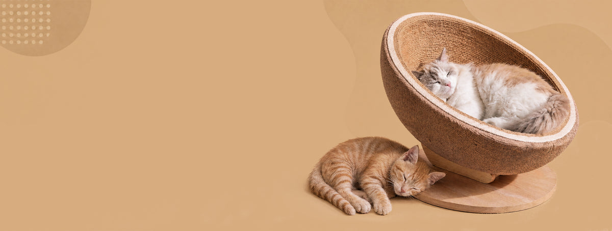 slider image slider_item_gb3Dhk
